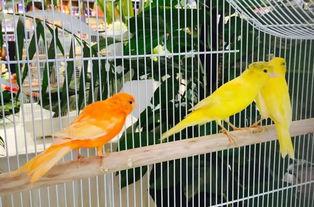 郑州公司吃瓜娱乐